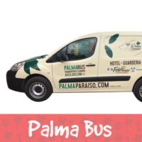 Palma Bus, el servicio de transportación canina
